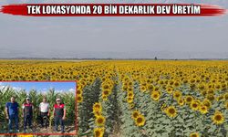 Muş’ta 20 bin dekarlık alandan 247.7 milyon TL’lik tarımsal katkı beklentisi