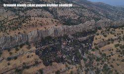 Ormanlık alanda çıkan yangını köylüler söndürdü