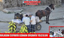Muş'ta fayton mesaisi başladı: Organik sebzeler sokak sokak vatandaşa ulaşıyor