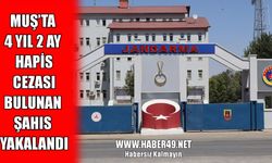 Muş'ta kesinleşmiş hapis cezası bulunan hırsızlık şüphelisi yakalandı