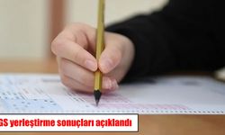 LGS yerleştirme sonuçları açıklandı