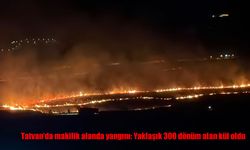 Tatvan'da makilik alanda yangını: Yaklaşık 300 dönüm alan kül oldu
