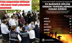 Orman yangınlarının bilançosu açıklandı: 5 ilde 92 bağımsız bölüm ağır hasarlı