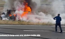 Sarıkamış'ta kargo aracı araç alevlere teslim oldu