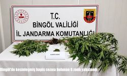 Bingöl'de kesinleşmiş hapis cezası bulunan 6 zanlı yakalandı