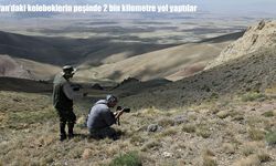 Van'daki kelebeklerin peşinde 2 bin kilometre yol yaptılar