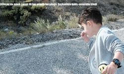 Erzincan'da minik çocuk ilk kez yılanla karşılaştı: Şaşkınlıkla baktı, cesaretle izledi