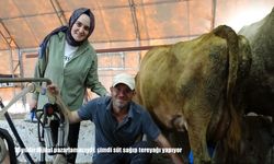 16 yıldır dijital pazarlamacıydı, şimdi süt sağıp tereyağı yapıyor
