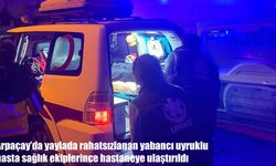 Arpaçay’da Yaylada Rahatsızlanan Hasta Sağlık Ekiplerince Kurtarıldı