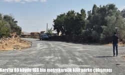 Kars’ta 89 köyde 168 bin metrekarelik kilit parke çalışması