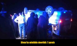 Van’dan Ankara’ya Giden Minibüs Kaza Yaptı: 7 Yaralı