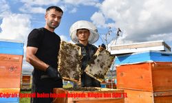 Coğrafi işaretli balın hasadı başladı: Kilosu bin 900 TL
