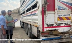 Yüksekova’da hayvan sağlığı için yol kontrolleri sürüyor