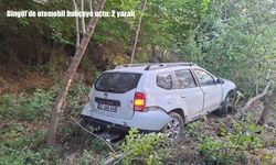 Bingöl’de otomobil bahçeye uçtu: 2 yaralı