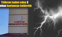 Ardahan'da yıldırım isabet eden 3 çoban yaralandı
