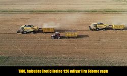 TMO, hububat üreticilerine 120 milyar lira ödeme yaptı