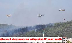 Muğla’da yangınların yüzde 70’i insan kaynaklı çıktı
