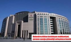 Dolandırıcı diye ceza aldı, paranın hesabına gitmediği ortaya çıktı