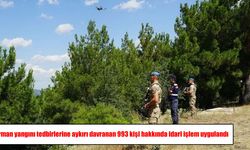 Orman yangını tedbirlerini ihlal eden 993 kişiye idari işlem