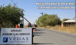 VEDAŞ’tan Muş’a uyarı: 10 Ağustos’ta planlı elektrik kesintisi uygulanacak