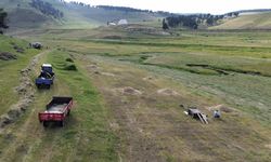 Kışı uzun ve sert geçen Kars'ta hayvan yemi için ot biçme mesaisi başladı