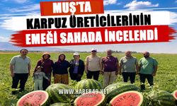 Muş’ta karpuz tarlalarında bereket mesaisi