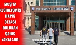 Muş’ta çeşitli suçlardan 10 yıl hapis cezasıyla aranan şahıs yakalandı