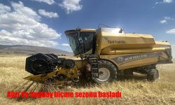 Ağrı’da buğday biçme sezonu başladı