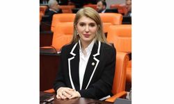 Milletvekili Ölmeztoprak'tan Mevlid Kandili mesajı