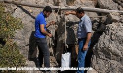 Peynirlerini yüzyıllardır buz mağaralarında muhafaza ediyorlar