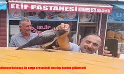 Adilcevaz'da kasap ile karga arasındaki sıra dışı dostluk gülümsetti