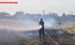 Van'da örtü üstü yangın