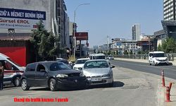 Elazığ’da trafik kazası: 1 yaralı
