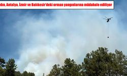 5 ilde orman yangını: Ekipler havadan ve karadan müdahale ediyor