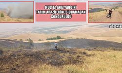 Muş'ta anız yangını korkuttu: Ekipler zamanında müdahale etti