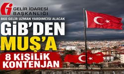 GİB Muş’ta 8 gelir uzman yardımcısı alacak