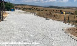 Karakoçan’ın köylerinde çalışmalar sürüyor