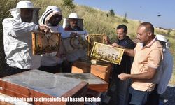 Bitlis’te bal hasadı başladı: Üniversitenin arı işletmesi 200 kovana ulaştı