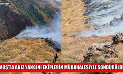 Muş’ta korkutan anız yangını