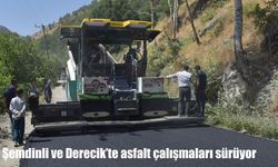 Şemdinli ve Derecik'te asfalt çalışmaları sürüyor