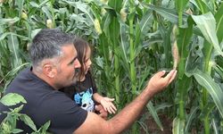 20 yıl sonra Rusya'dan memleketine döndü, ata tohumunu yeniden yaşattı