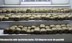 Yüksekova'da zehir tacirlerine darbe: 253 kilogram esrar ele geçirildi