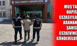 Muş’ta kesinleşmiş hapis cezasıyla aranan şahıs yakalandı