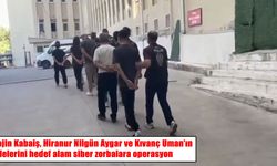 Rojin Kabaiş ve diğer acılı aileleri hedef alan siber zorbalara operasyon: 2 tutuklama
