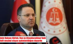 İntihar ve kaza süsü verilen iki cinayet aydınlatıldı