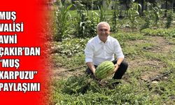 Muş Valisi Avni Çakır’dan 'Muş Karpuzu' paylaşımı: "Yemeyen kalmasın"