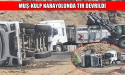 Muş-Kulp kara yolunda TIR devrildi: 1 yaralı