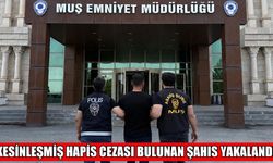 Muş'ta 10 yıl kesinleşmiş hapis cezası olan firari yakalandı