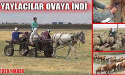 Muş’ta yaylacıların ovaya dönüş yolculuğu başladı