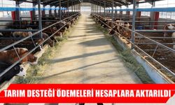 Muşlu üreticilere destek ödemesi hesaplara yatırıldı